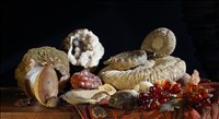 Anna Grayson, 630 - STILL LIFE WITH FOSSIL SEAFOOD (AFTER THE DUTCH MASTERS)